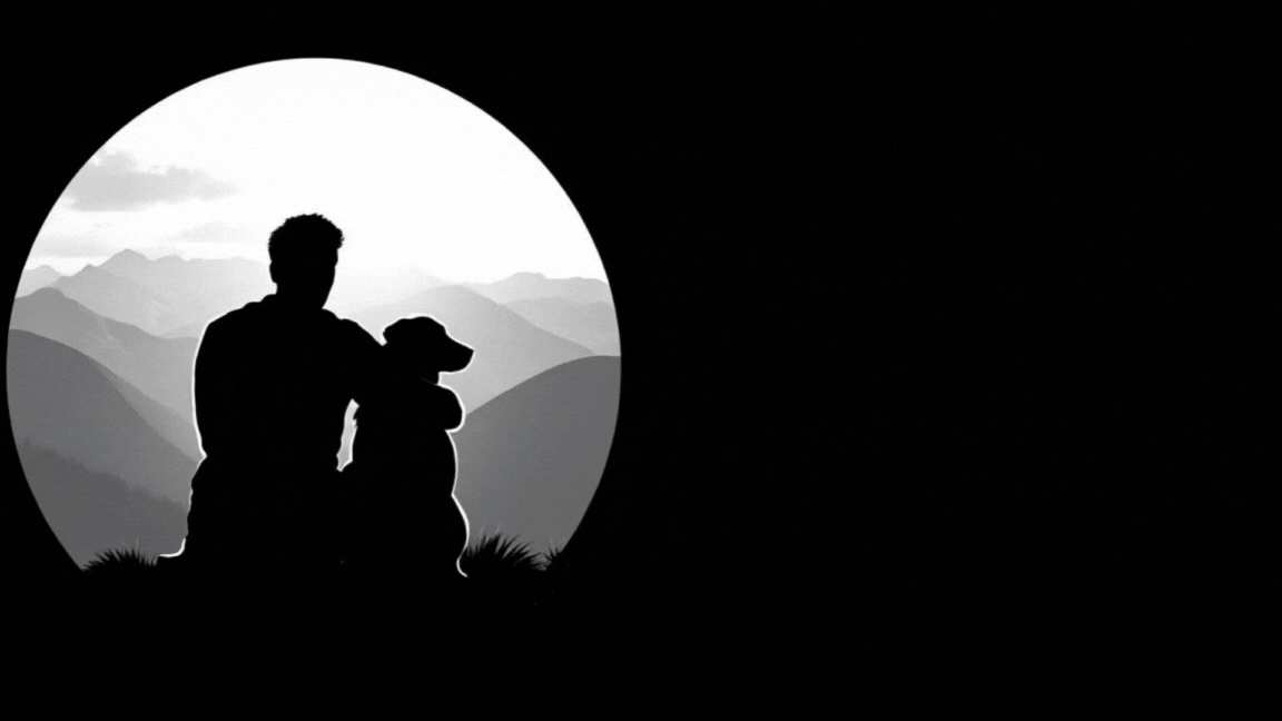 ridgeviewaussiedoodles.com